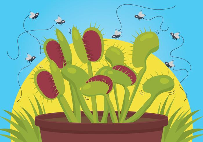 Venus fly trap vector