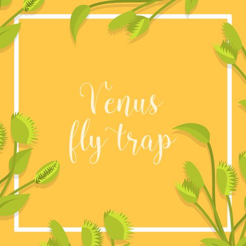 Flat Venus Fly Trap Vector Illustration