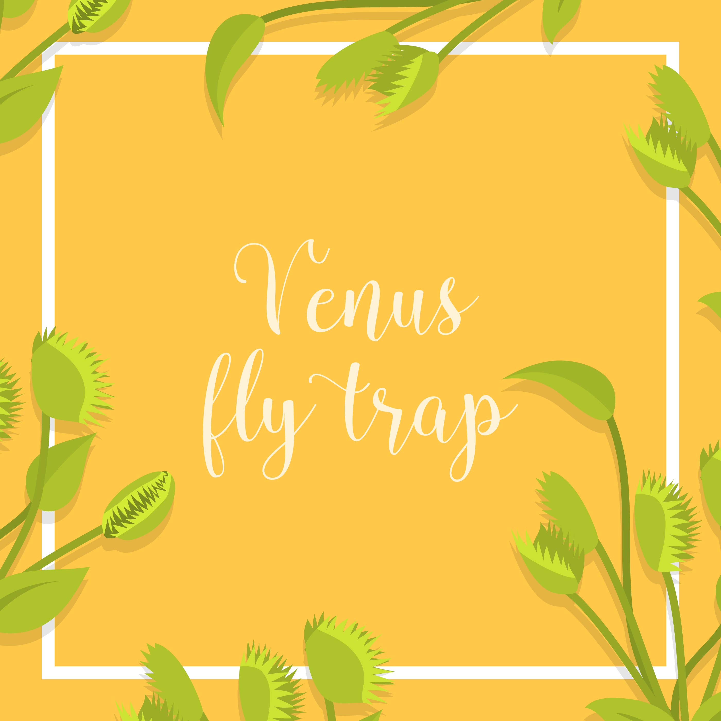 Flat Venus Fly Trap Vector Illustration 192755 Vector Art at Vecteezy