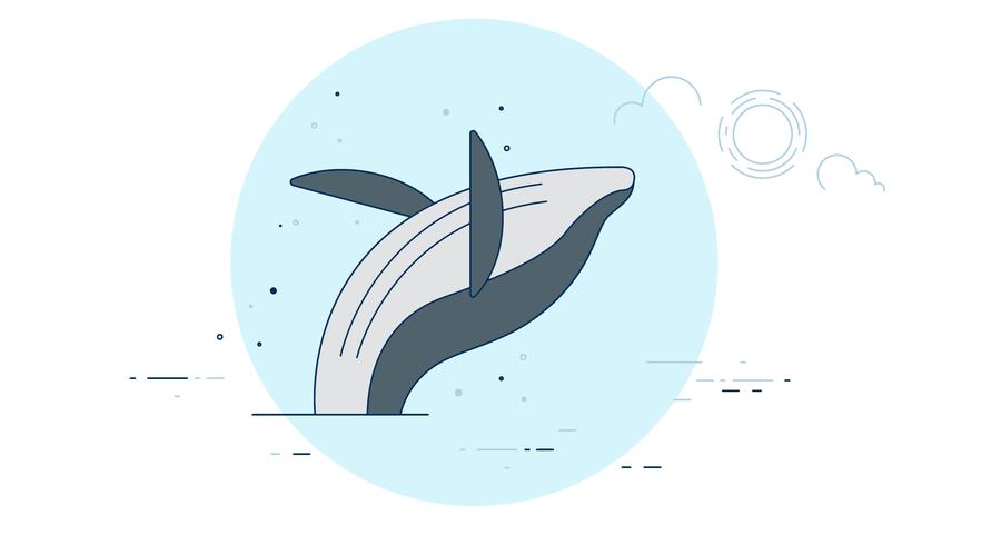 Whale Vector