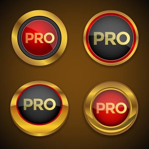 Pro Gold Icon Button vector