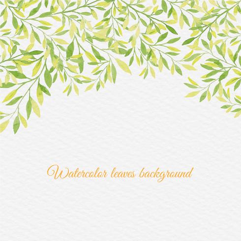 Vector Watercolor Background With Hand Draw Leaves