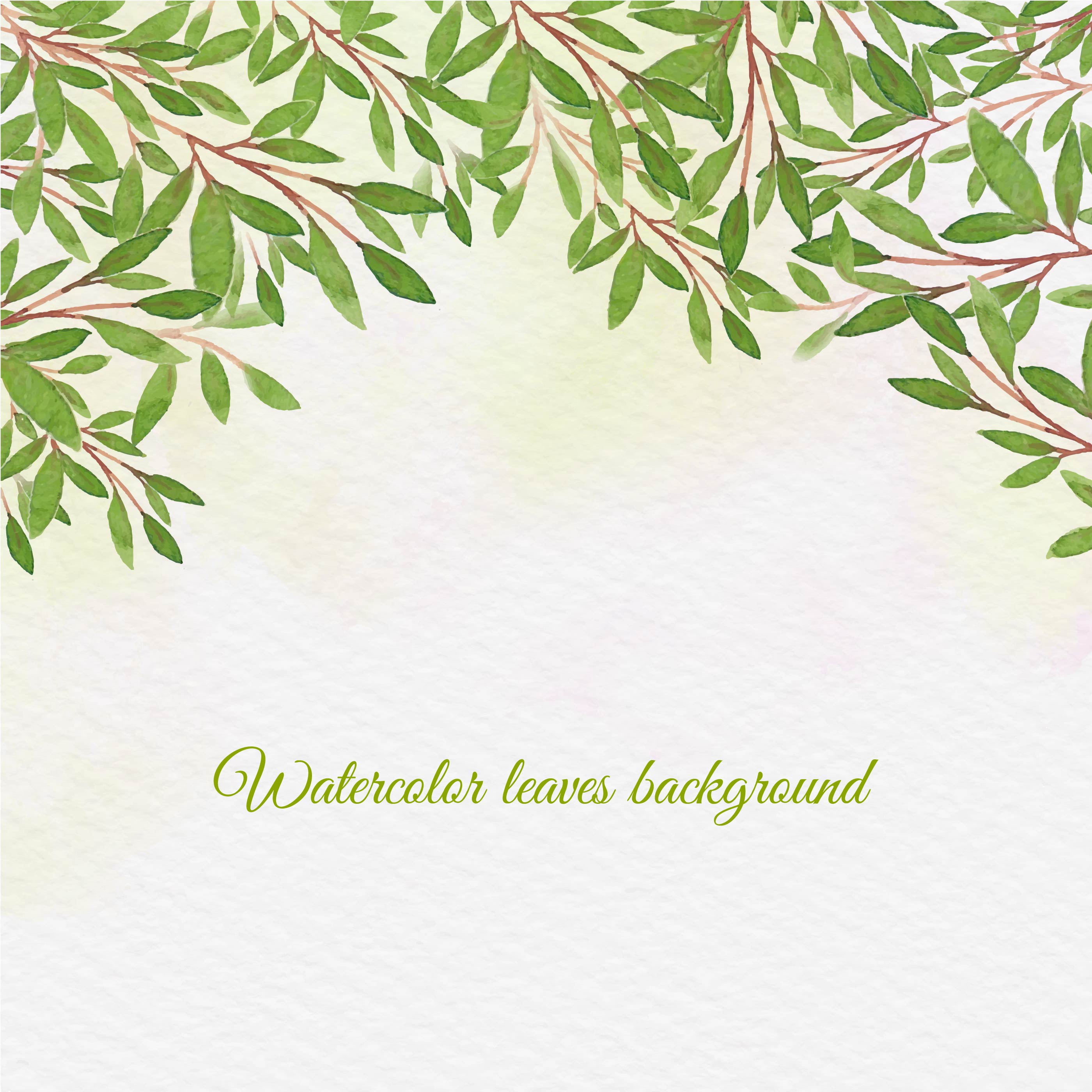Vector Watercolor Background With Hand Draw Leaves Download Free