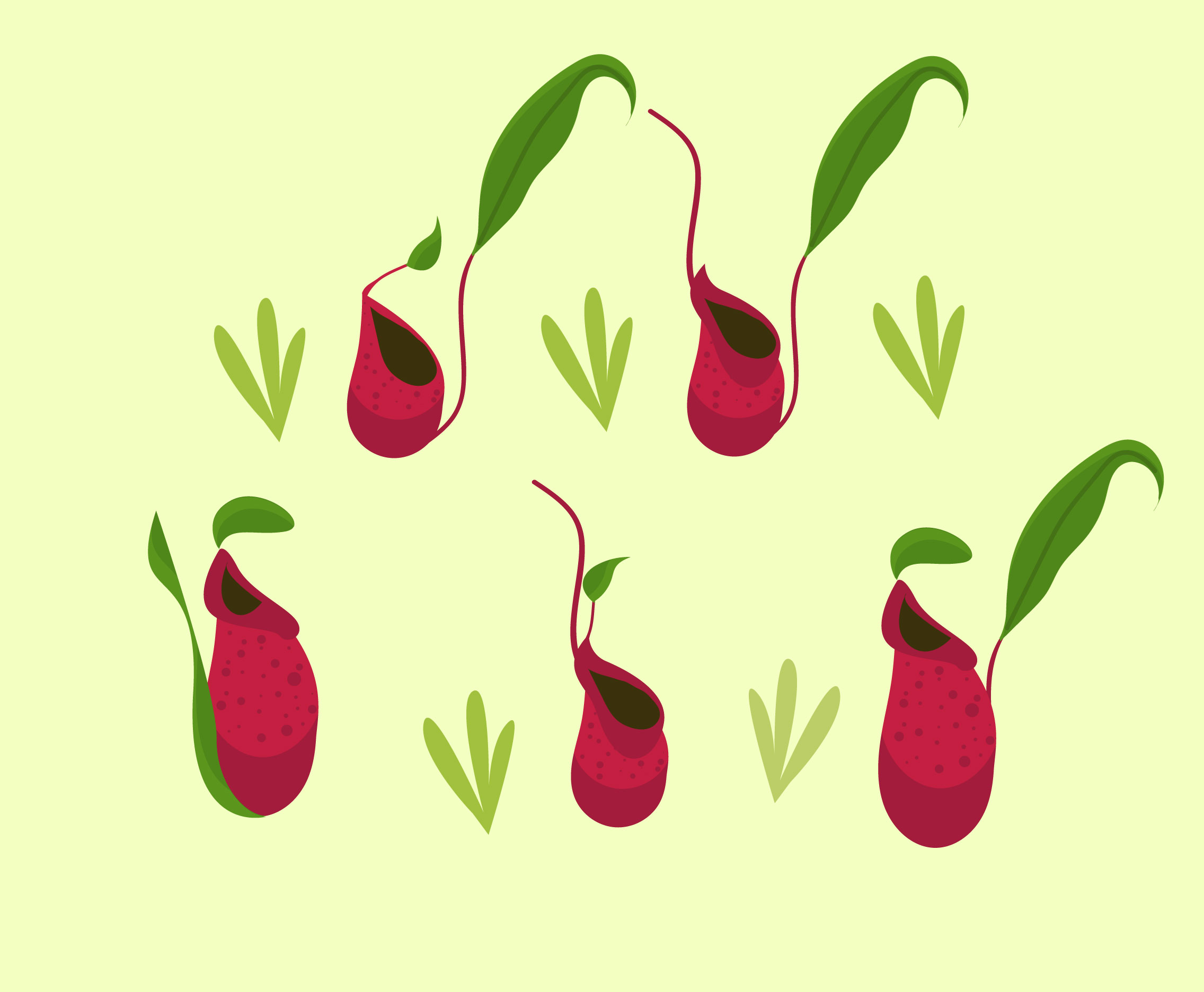 Fly Trap Plant Vector 193901 Vector Art at Vecteezy