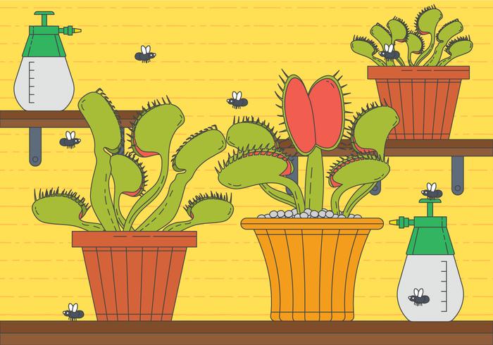 Venus fly trap vector