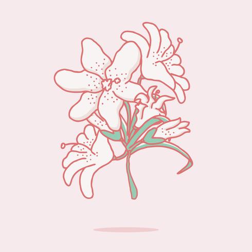 Easter Lily vector