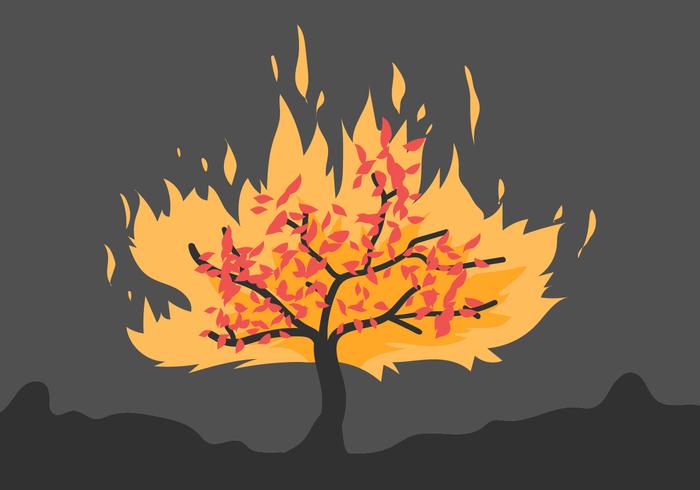 burning bush flat illustration vector