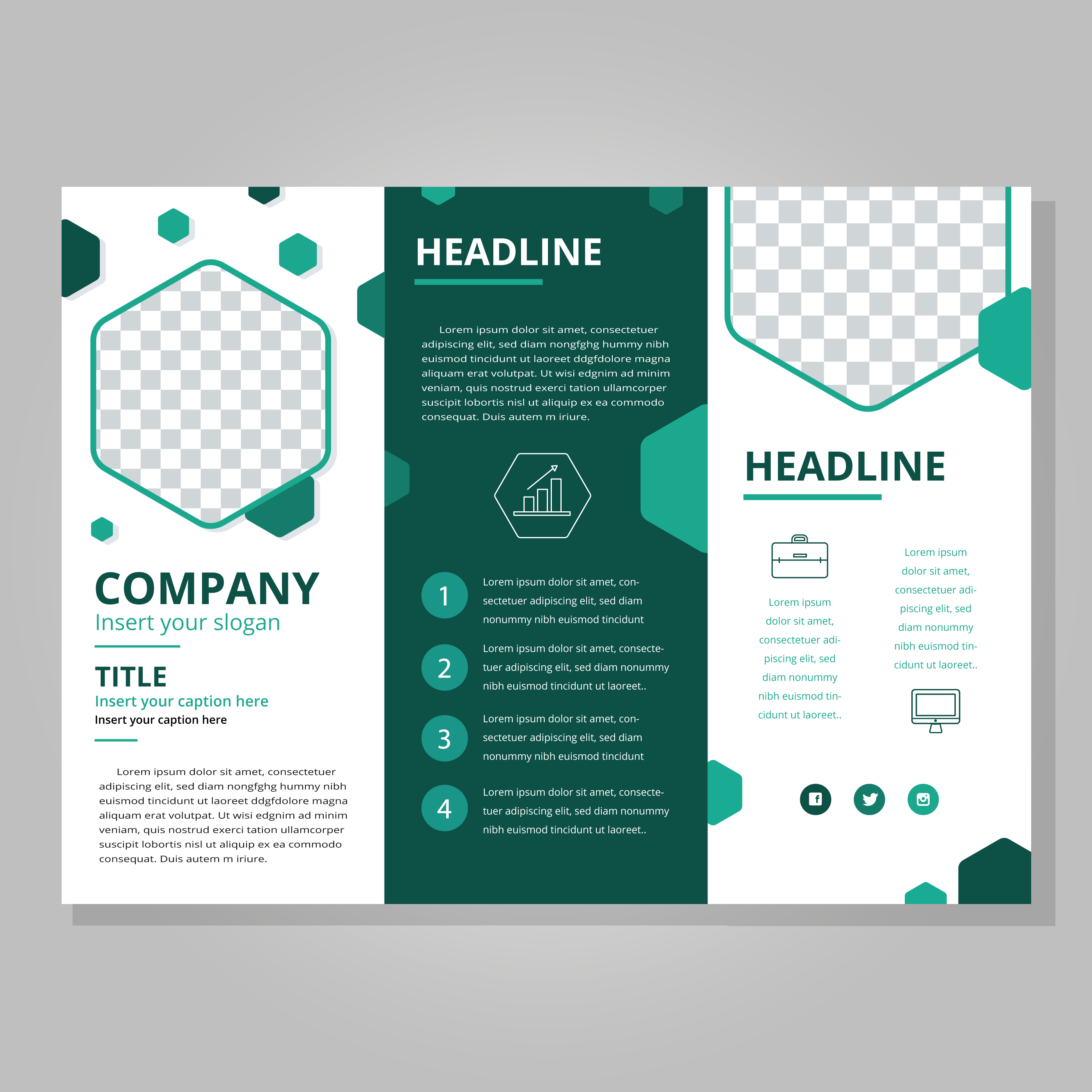 tri fold brochure template illustrator free download