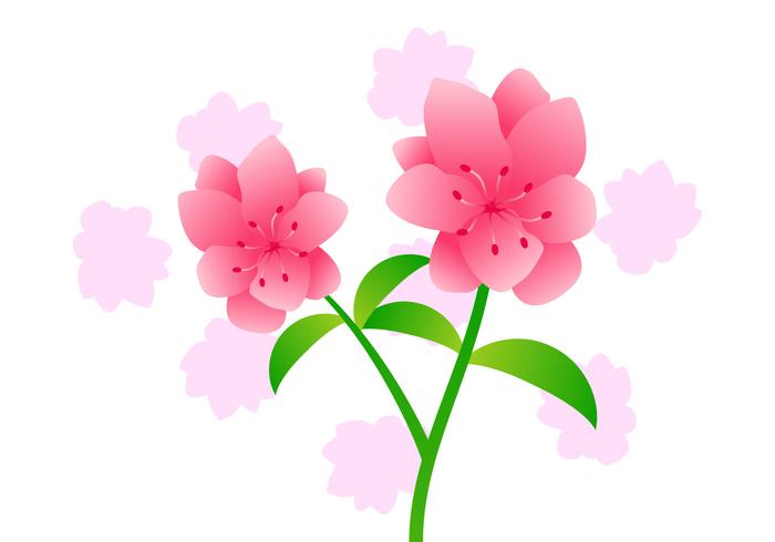 Beautifully Azalea Flowers Vectors