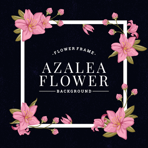 Azalea Flowers Background vector