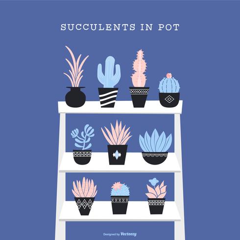 Succulents In Pot Vector Set