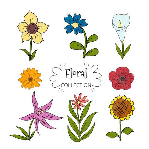 Colección de flores de colores vector