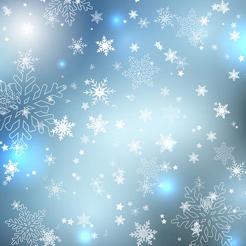 Winter snowflakes  vector