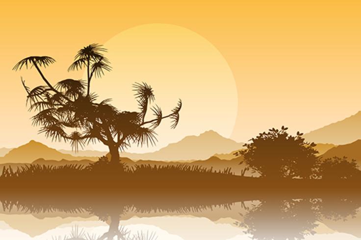 Silhouette of trees against a sunset sky vector