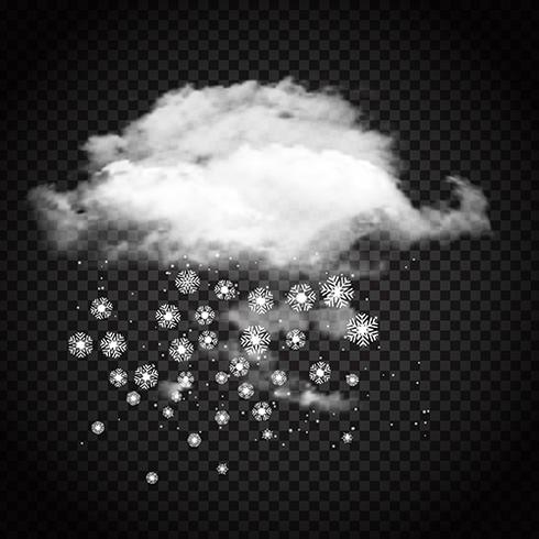 Snow cloud  vector