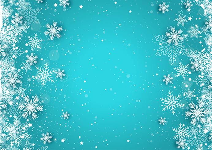 Christmas snowflakes  vector