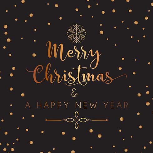 Decorative Christmas and New Year background vector