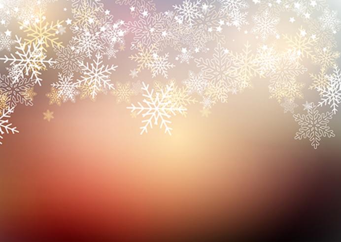 Christmas winter snowflakes  vector