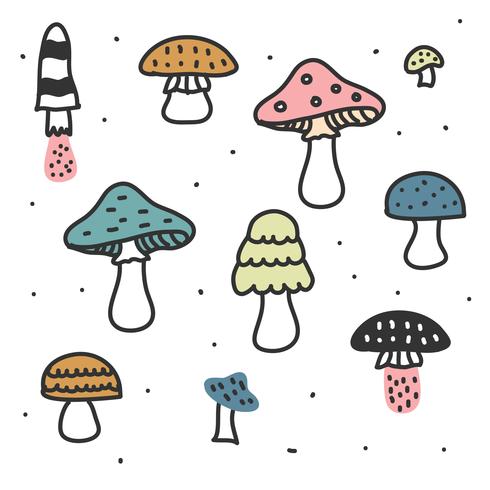 Mushrooms Vector Set