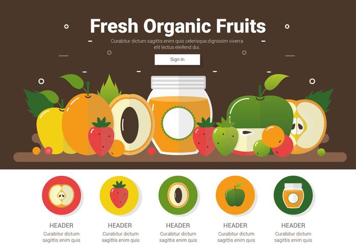 Vector Fresh Organic Fruits