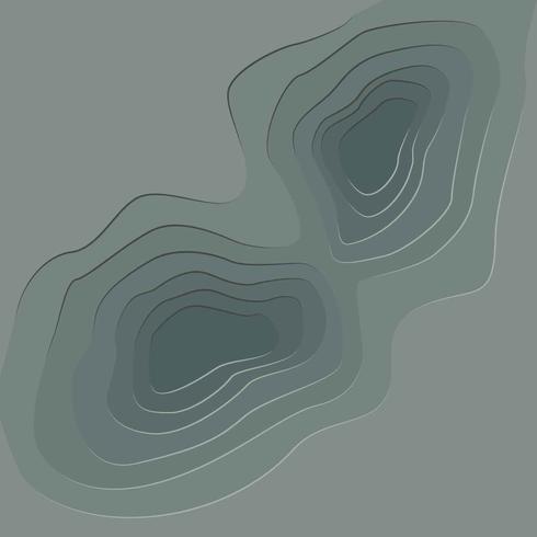 Topography Illustration Vector