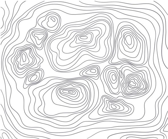 Topography Vectors