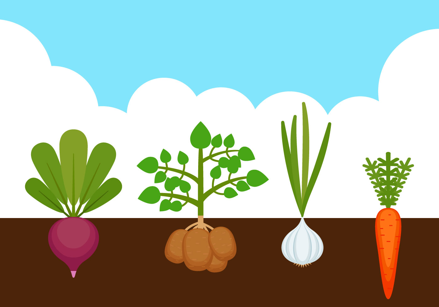 Download Outstanding Vegetable Garden Vectors - Download Free ...