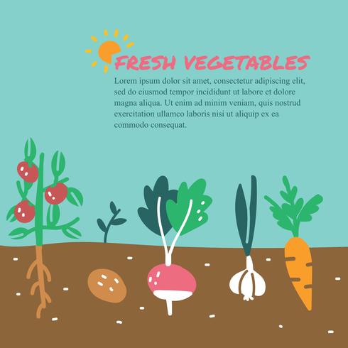 Fresh Vegetables Doodles vector