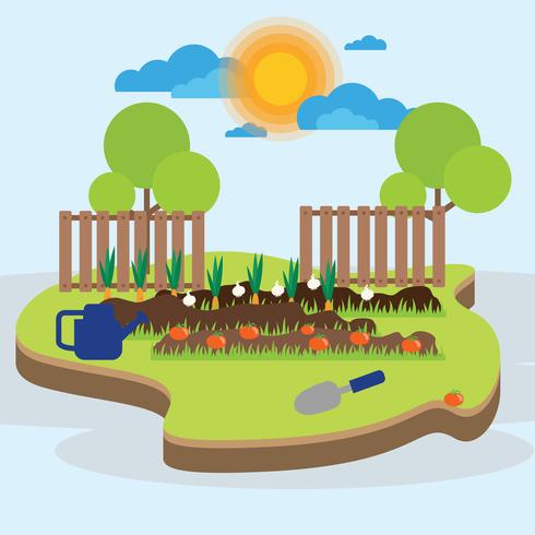 Vegetable Garden Illustration vector