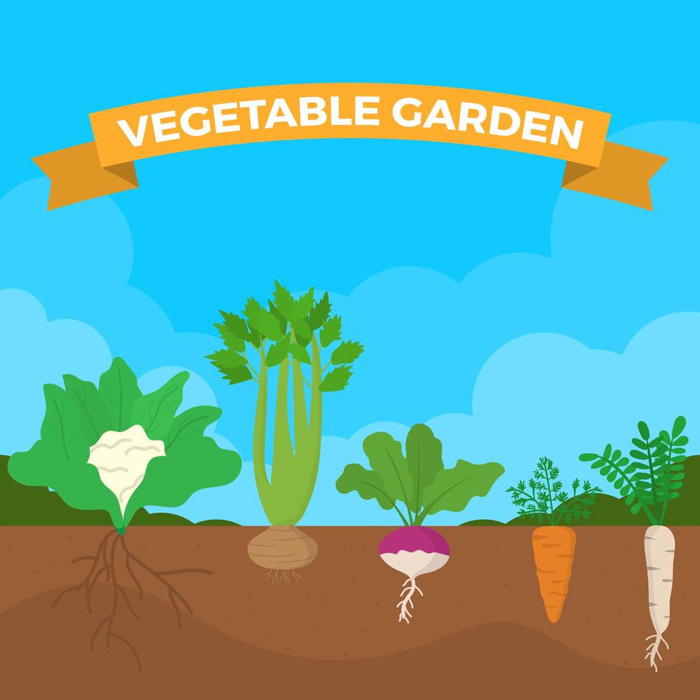 Flat Vegetable Garden Vector Illustration 202058 Vector Art At Vecteezy