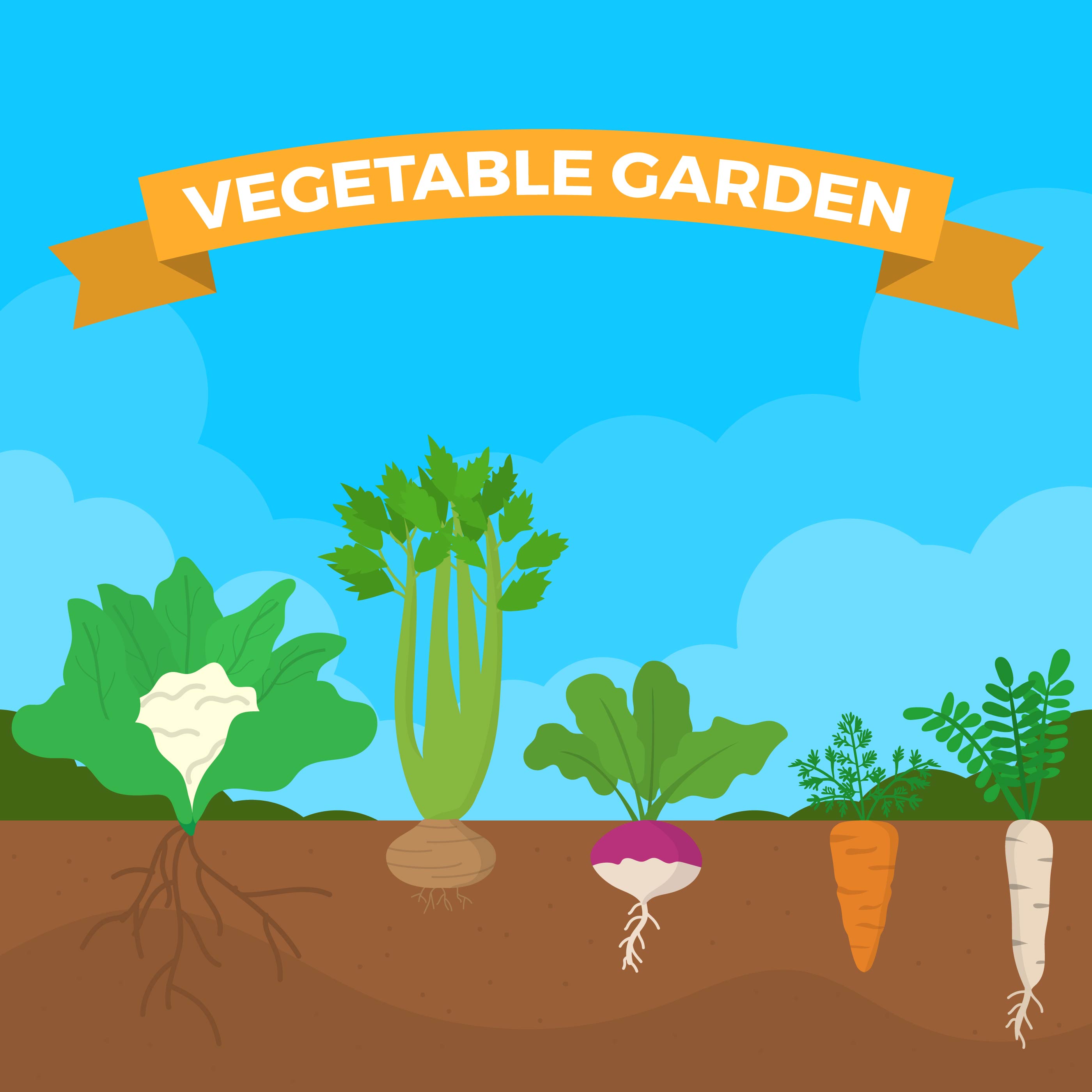 Download Flat Vegetable Garden Vector Illustration - Download Free ...