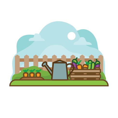 Vegetable Garden Vector Illustration