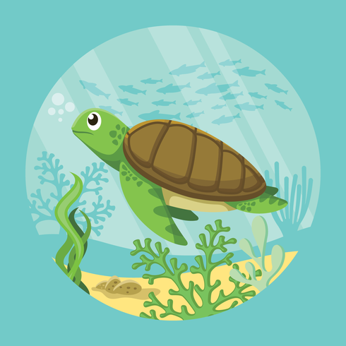 Ilustración de tortugas vector