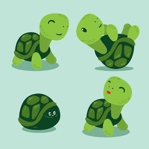 divertido vector de tortugas