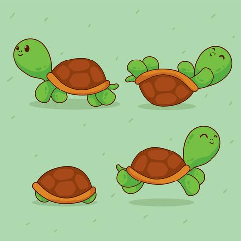 vector de tortugas de dibujos animados