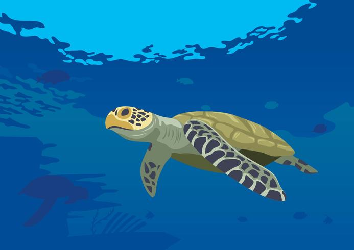 Turtles At The Sea vector