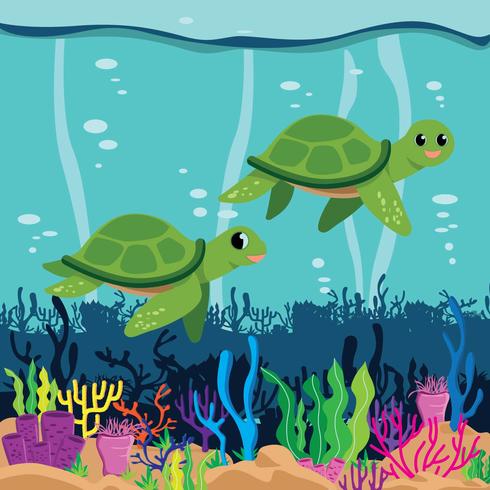 Ilustración de tortugas vector