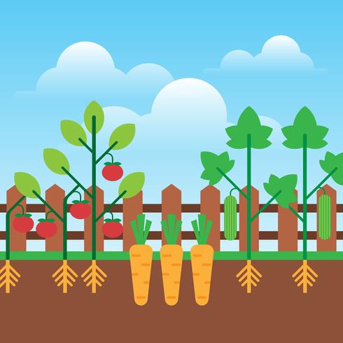 Urban Gardening Planting Growing Vegetables Flat Design Illustration vector