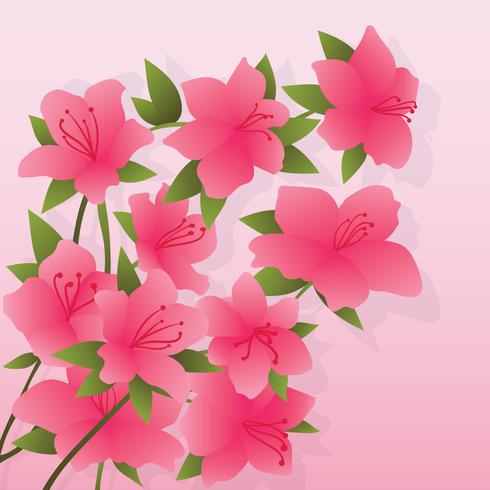 Ilustración de flores de azalea vector