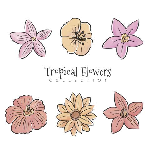 Colección de conjunto de flores tropicales vector