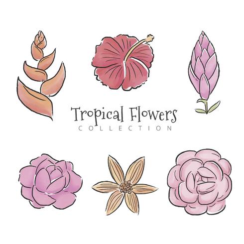 Colección de conjunto de flores tropicales vector