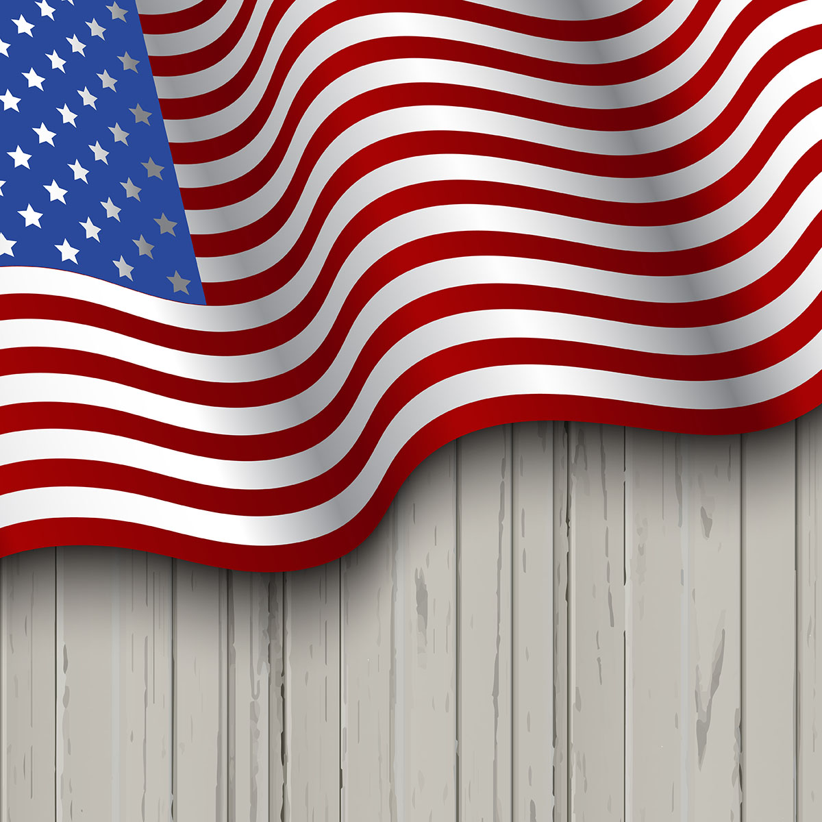 USA American Flag SVG