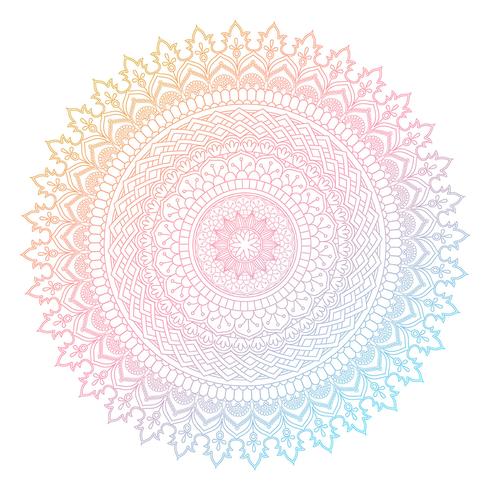 Colourful mandala design  vector
