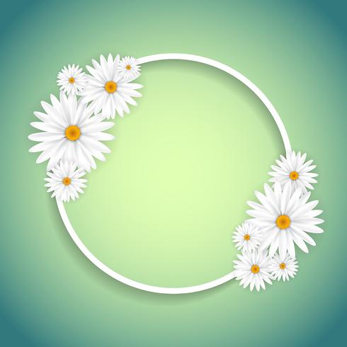 Decorative daisy frame vector