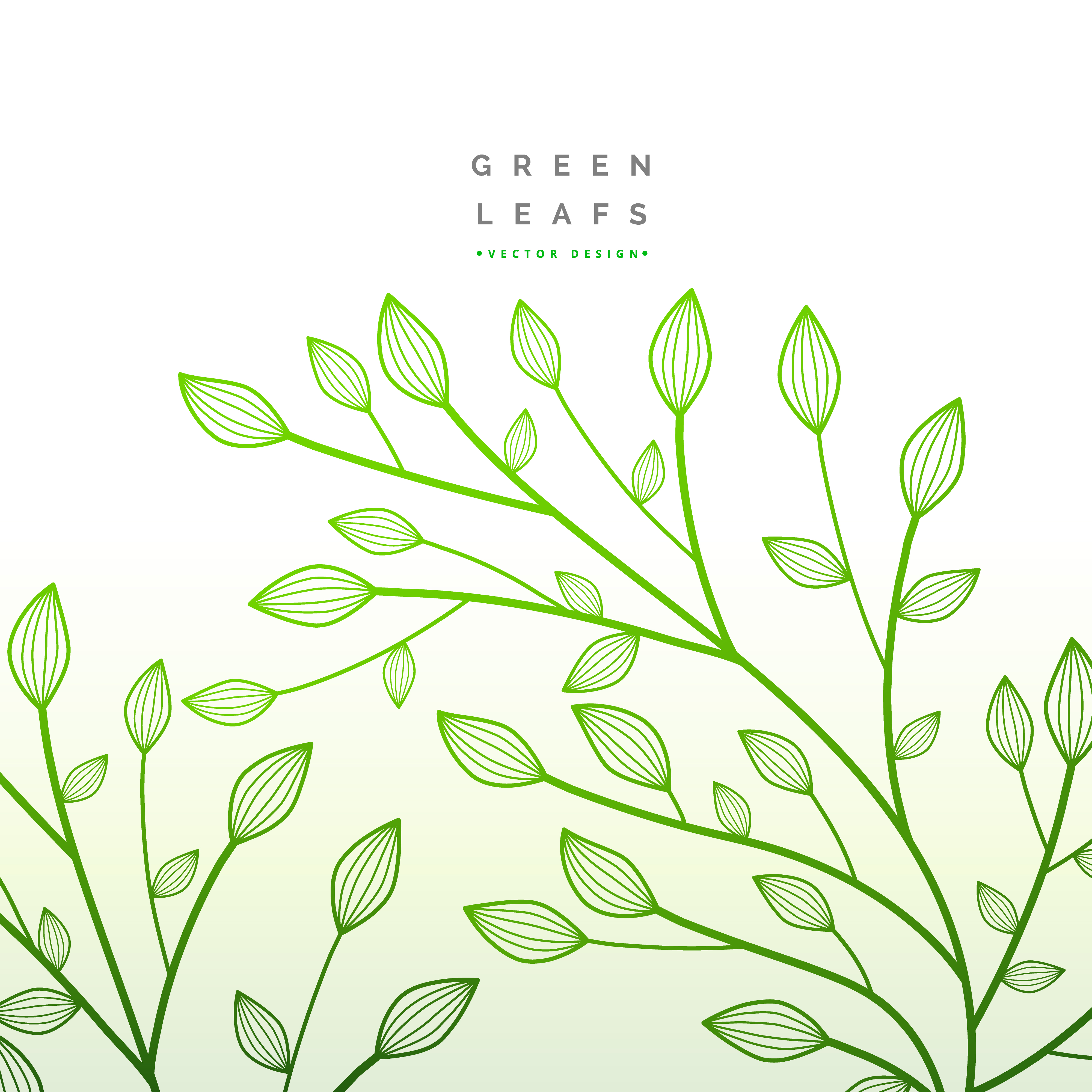 green leaves floral decoration. nature illustration Download Free