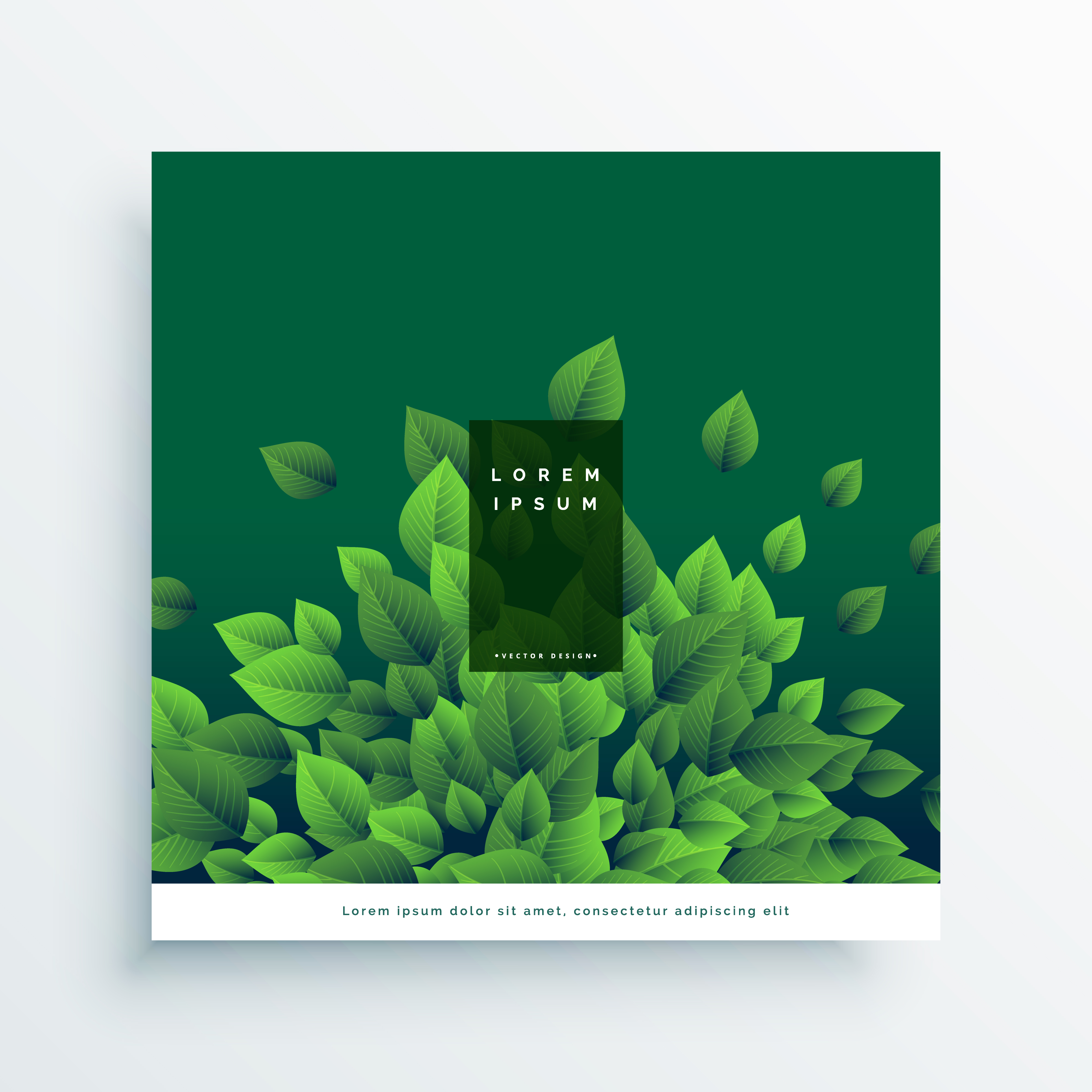 green nature vector card cover design with leaves Download Free