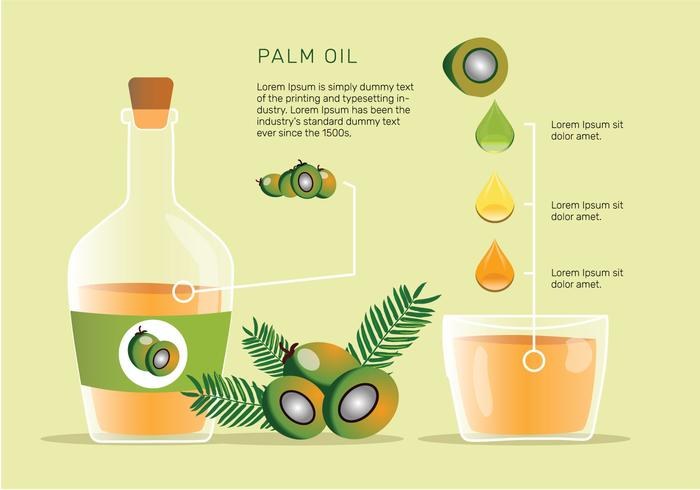 Paquete de vectores de frutas de aceite de palma