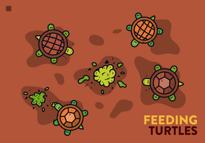 Vector de tortugas