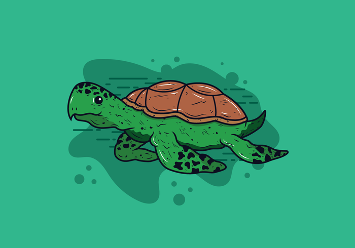 Vector de tortugas