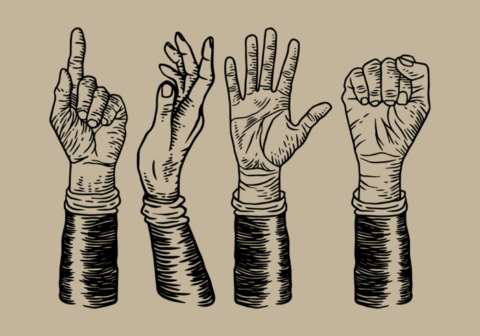 Vintage Hand Drawing vector